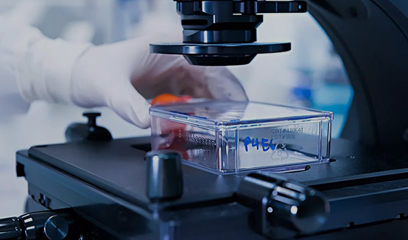 熱烈慶祝我司順利通過“專精特新”企業(yè)認(rèn)定